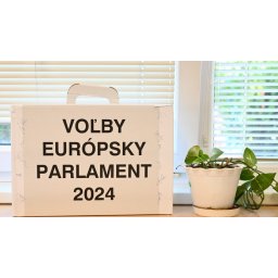 Voľby do EP 2024 - zverejnenie výsledkov